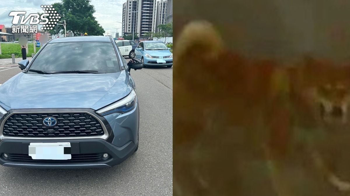 有片/脫韁柴犬暴衝釀兩車相撞「肇逃」 一旁飼主裝沒事也閃人