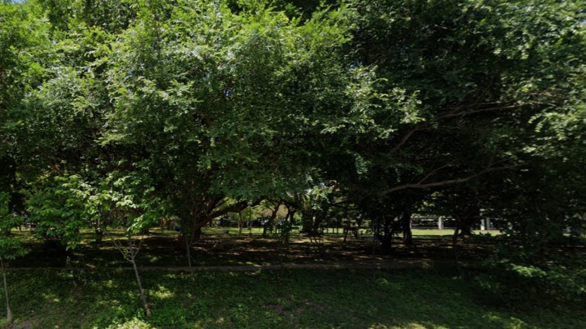 沒事別靠近!台中女陳屍世貿公園 里長證實6/23園內辦頭七
