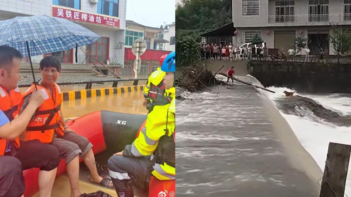 湖南小狗受困洪水,居民伸樹枝相救。(圖/翻攝自 微博)