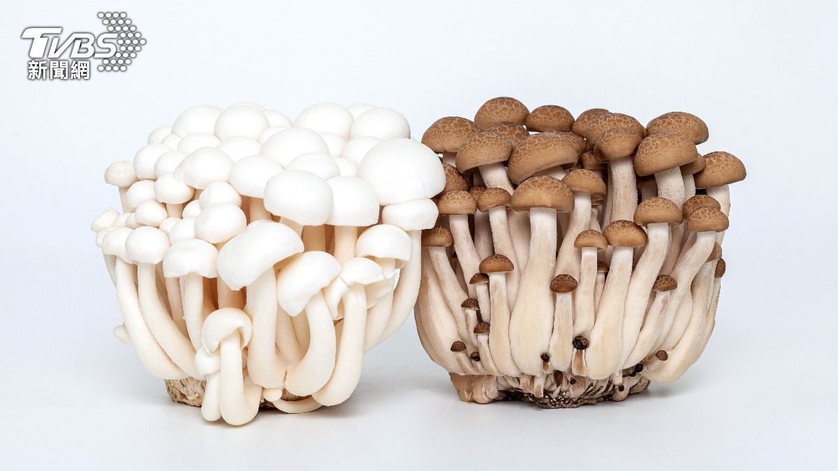 4類人別多吃!醫揭「鴻喜菇」超強養生功效 簡單料理消暑又開胃
