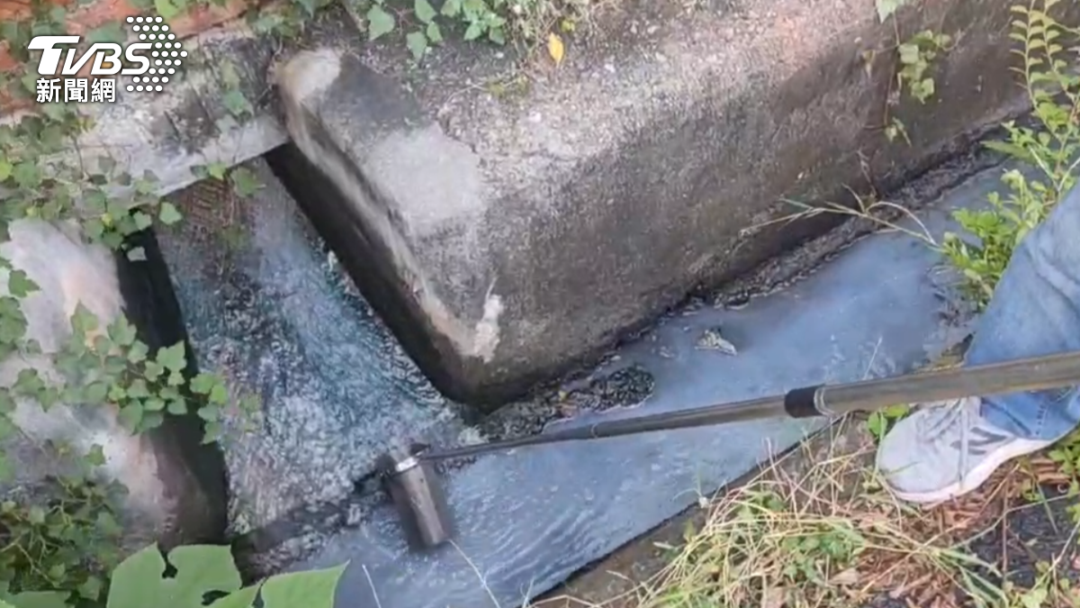 鳳山溪近日傳出惡臭,有魚群大量死亡浮出。(圖/TVBS)
