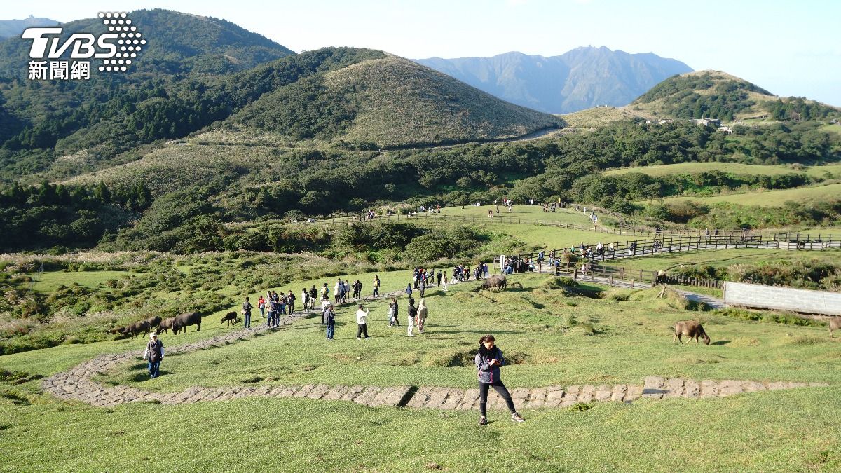 保護區難開發!陽明山2筆「億元土地交易」 用途曝光