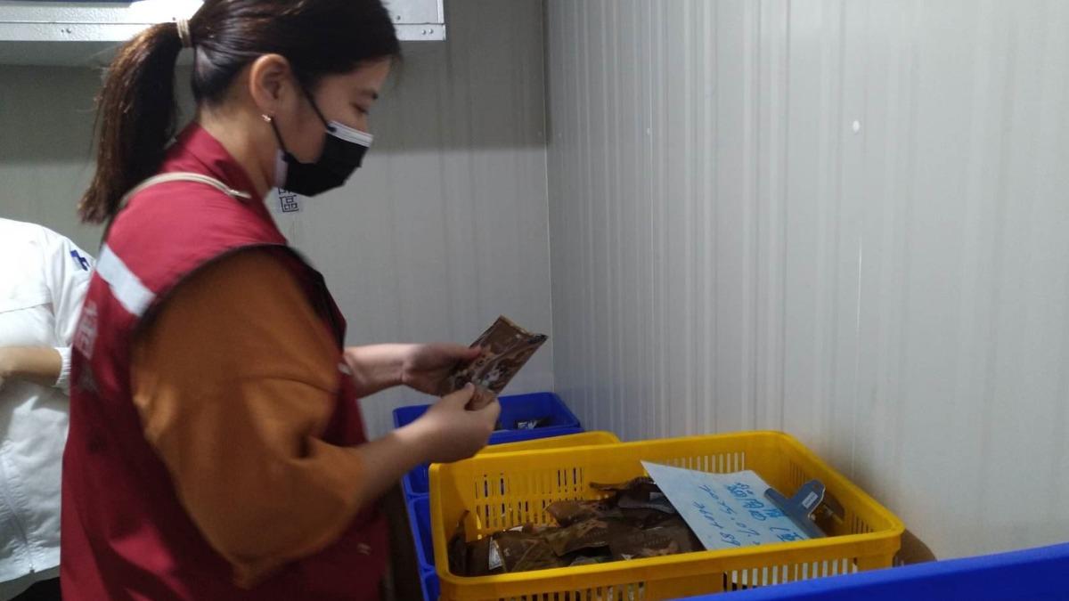貓糧引發低血鉀釀死傷!動保處送驗結果出爐 2違規共罰6萬