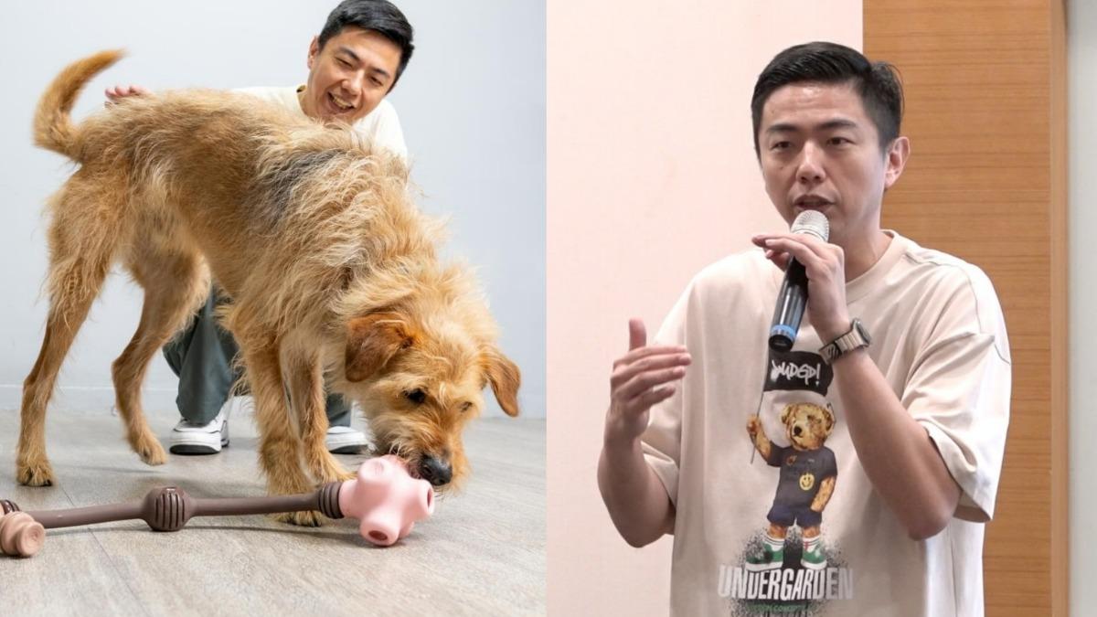 寵物專家熊爸籲「在家別一直抱狗」 曝毛小孩階級制:不擔心寵壞