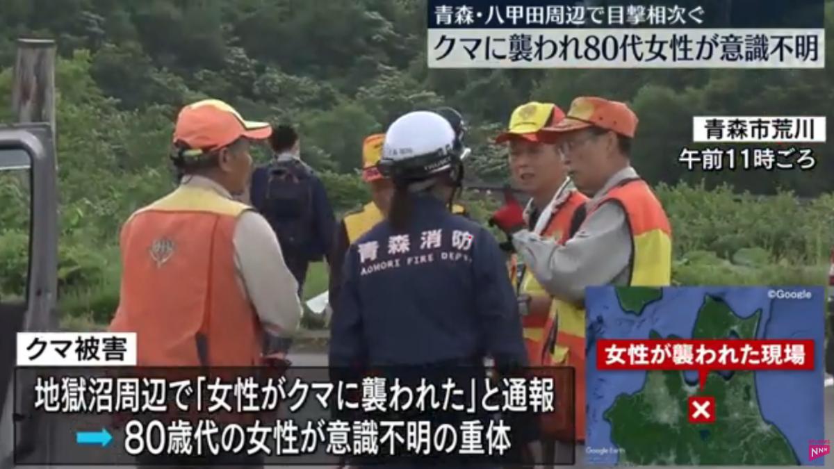 殺人熊出沒?兩人上山採筍遭襲 日本8旬婦難逃「熊掌」身亡
