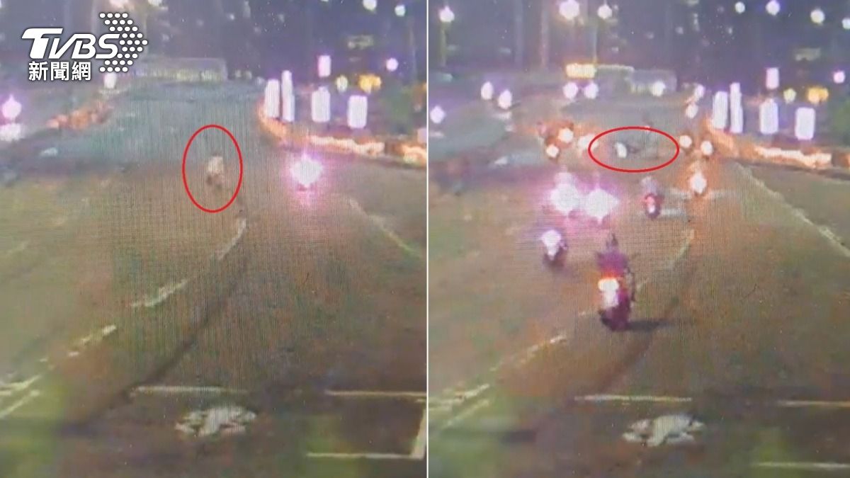 畫面曝！才剛騎上永和中正橋　「阿彌陀佛姐」遭機車追撞慘摔
