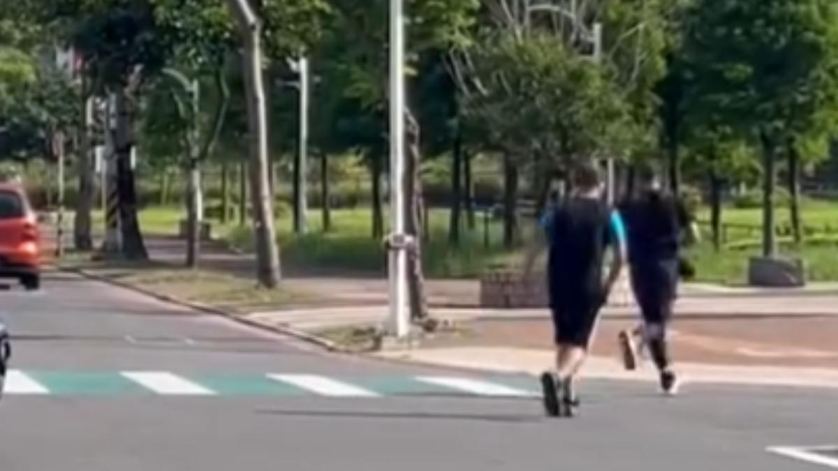 烏龜誤闖馬路，民眾衝出救援放回原點。（圖／翻攝自爆料公社）