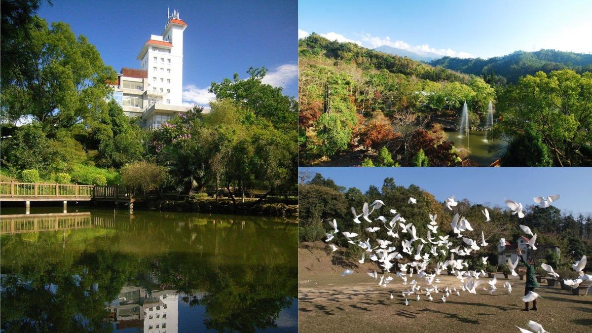 親子放電好去處!台中最美萬坪「森林花園」 還有樹海步道能避暑