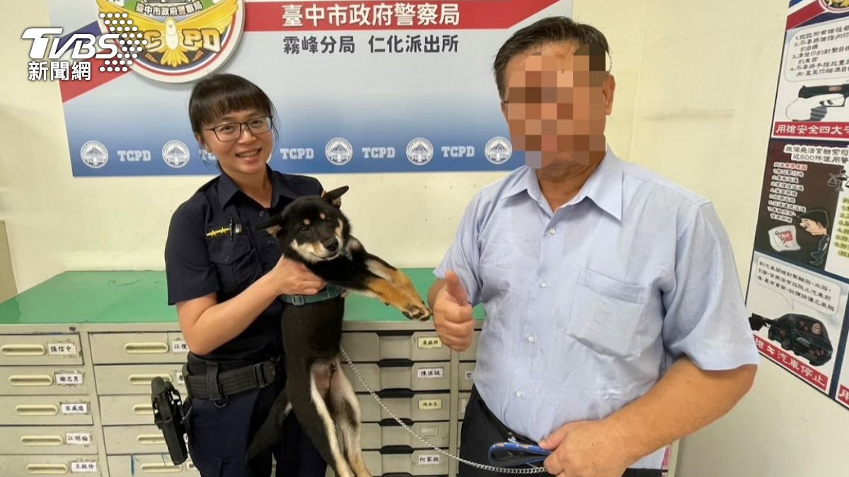 14天後主人來接回小柴犬。（圖／TVBS）