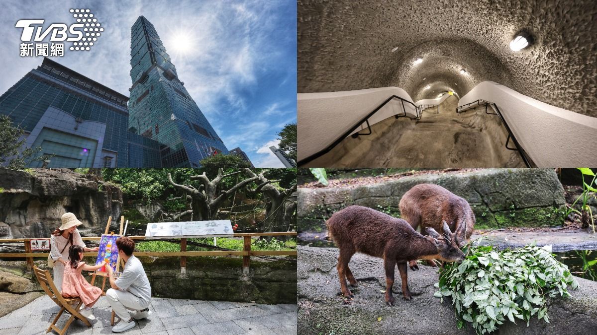 首推聯票！101觀景台+圓山密道「1個月僅1場」7/1開搶