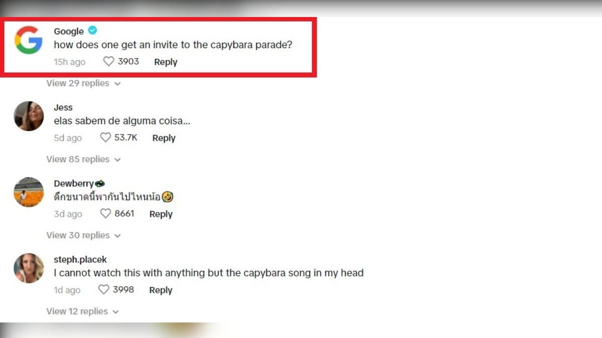 就連Google的官方帳號都來到布蘭科的影片下留言稱「要怎麼做才能受邀參加水豚嘉年華呢？」。（圖／翻攝自TikTok@（圖／翻攝自X））