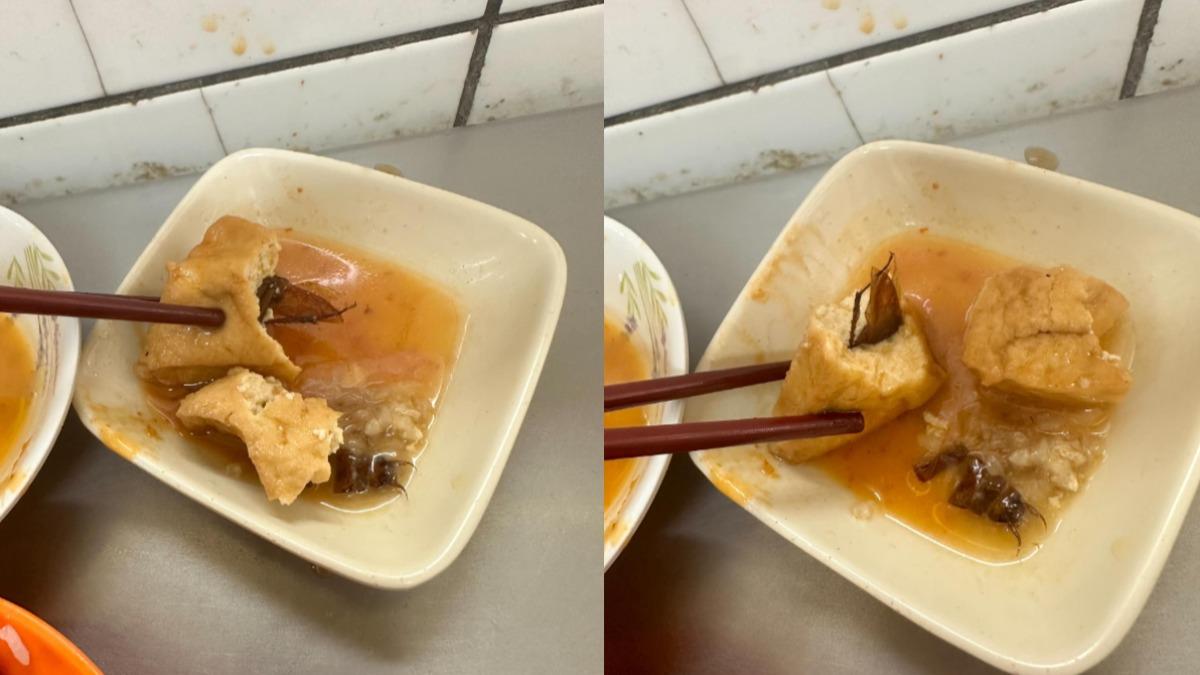 基隆最強滷肉飯「吃到小強」!蟑螂頭身分離 苦主噁爆大崩潰
