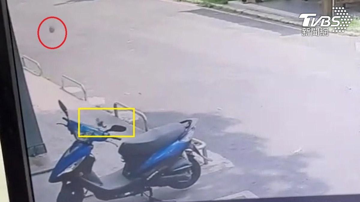 手機支架不見！小姐姐慌張報警　一查「兇手」是芒果