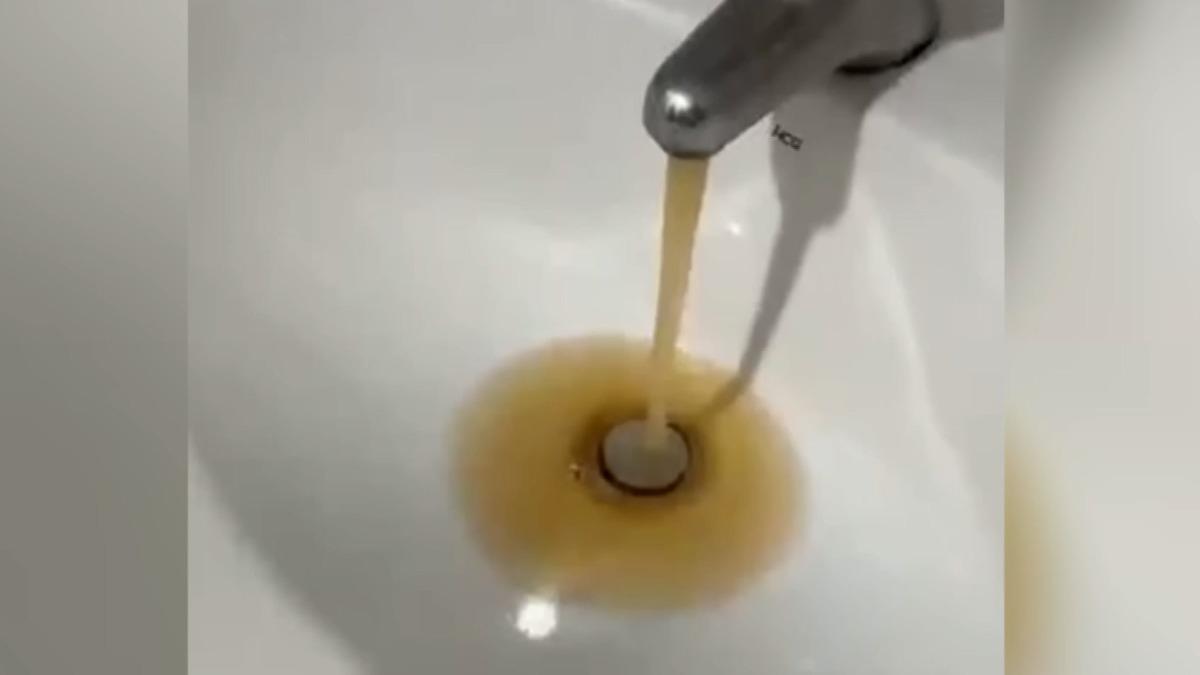 圖／民眾提供  
