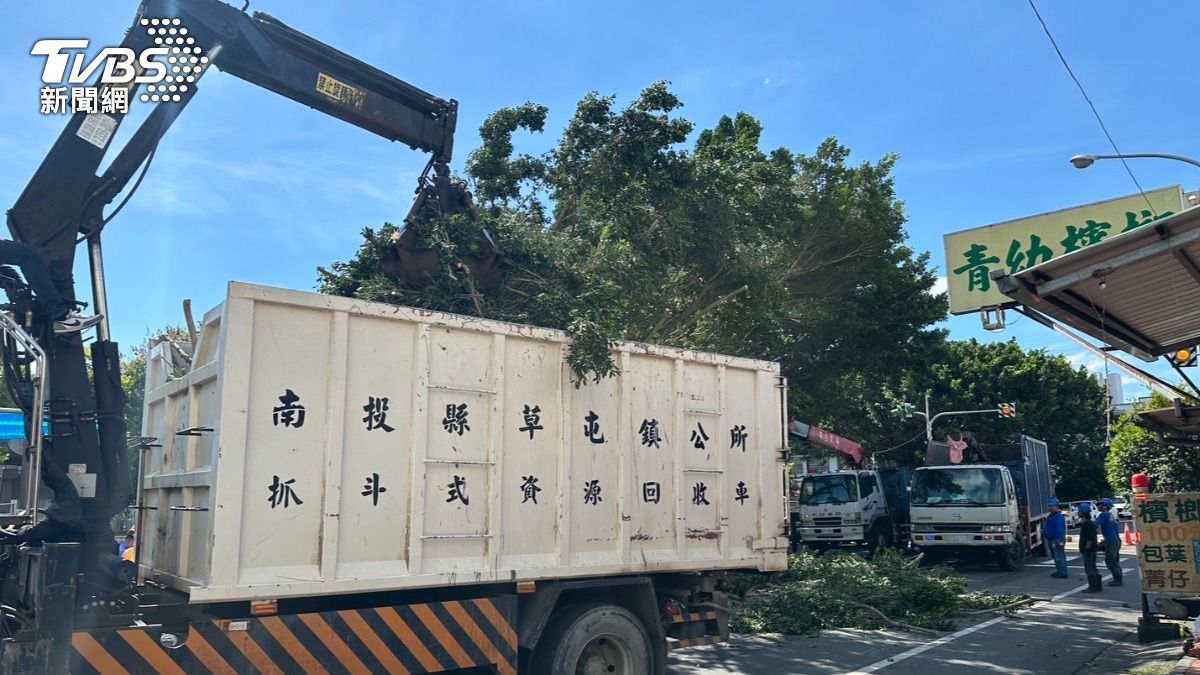 南投敦和國小旁一棵巨大榕樹突然倒塌，砸中一名婦人。（圖／TVBS）