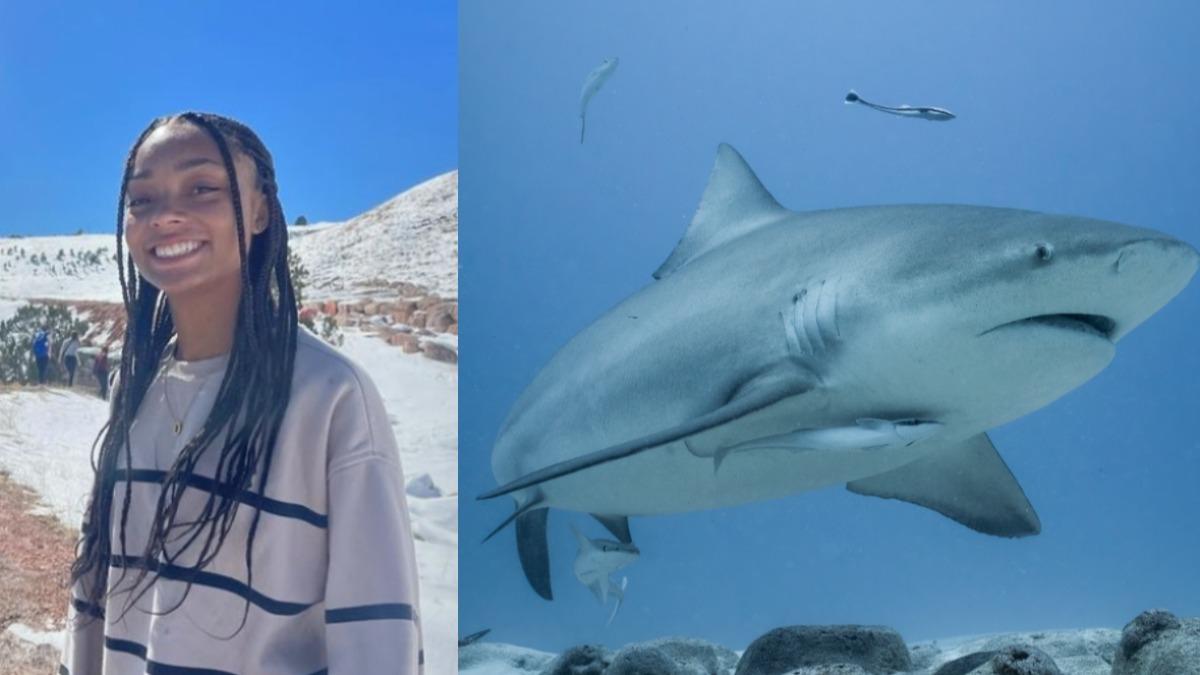 有片/美國19歲女海中遭襲擊!「揮拳狂毆鯊魚」保命 驚悚畫面曝