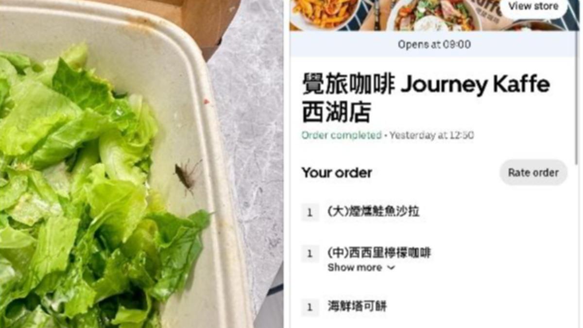 北市知名覺旅咖啡沙拉「爬出活蟑螂!」再爆藏鐵片 衛生局稽查了