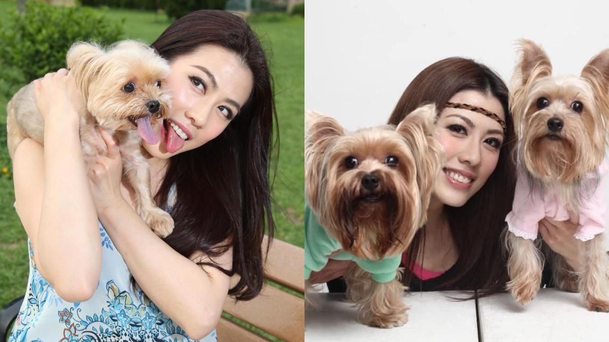 47歲港星遭爆有3歲女!昔喊視愛犬為家人 與送貨司機熱戀被拍