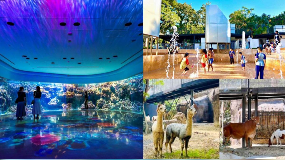 「1類人」暑假免費玩整天！爽遊壽山動物園　再聯名Xpark套票
