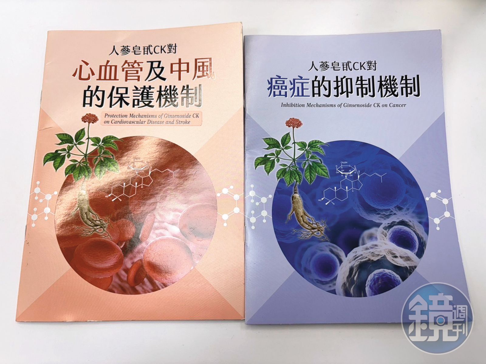 六順診所印製文宣品，向病患說明人參皂甙對中風和癌症的功效。（圖／鏡週刊）