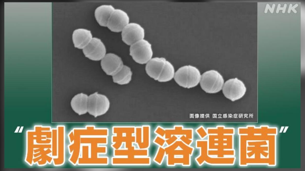 食人菌全日本染疫數破1100人創新高 5孕婦這時間點後感染身亡