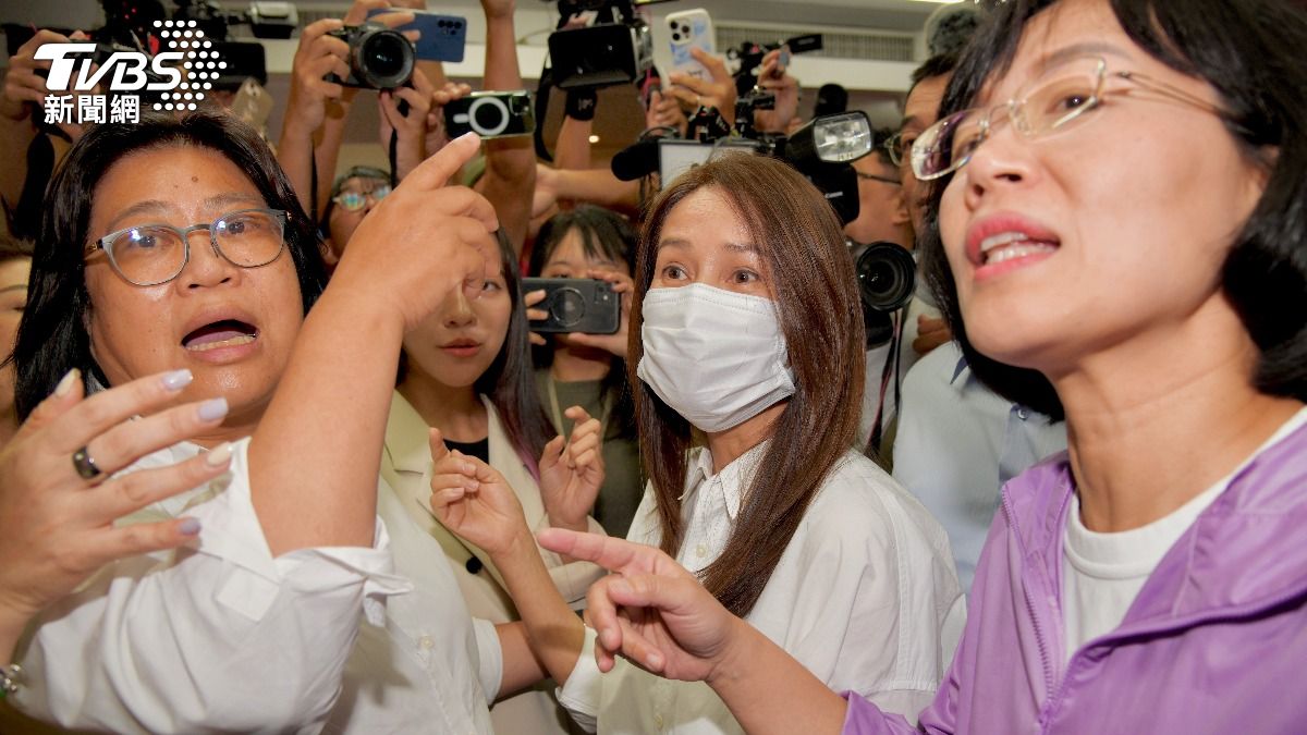 《選罷法》修法今排審藍綠爆衝突 藍轟土匪綠反批詐騙集團