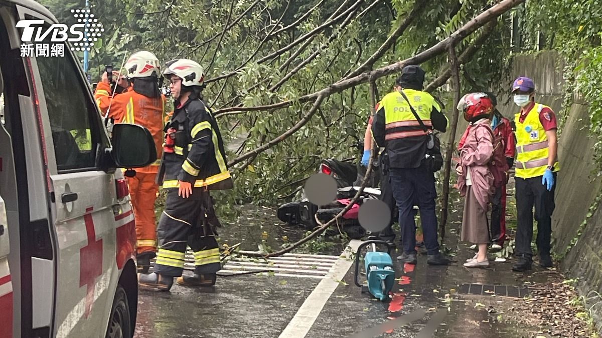 豪雨炸桃園！山坡路樹倒塌　2騎士慘遭砸中受傷送醫