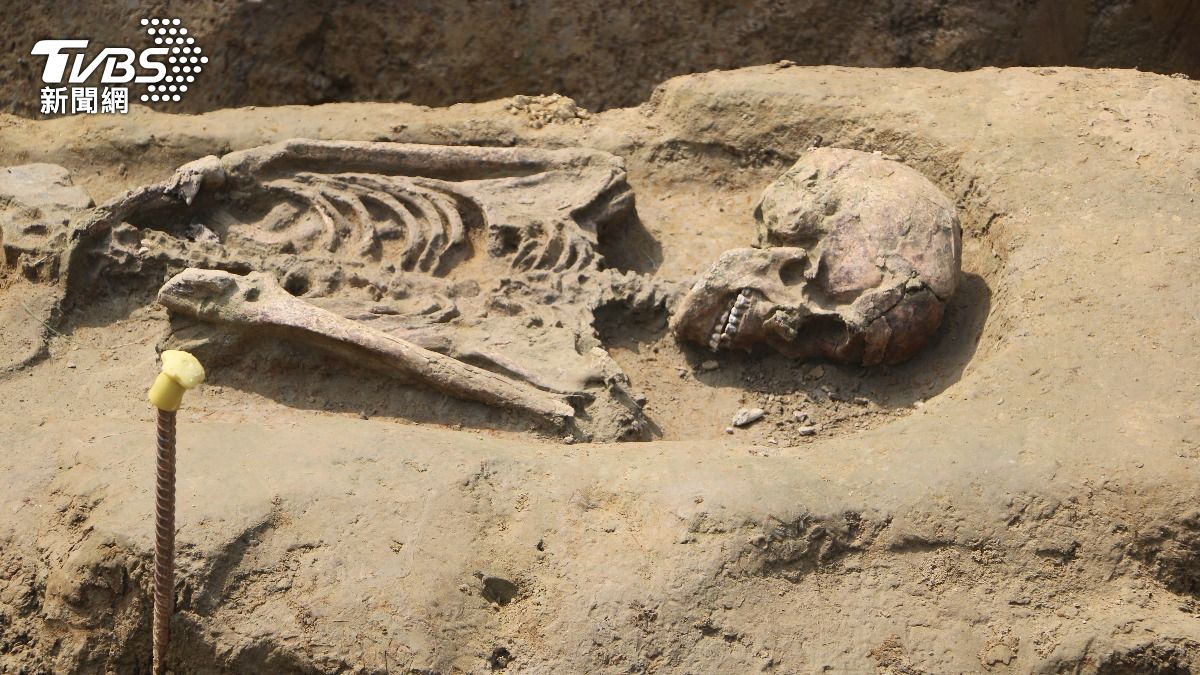 嘉義鐵路高架出土2500年前俯身葬骨骸　驚現「嚼檳榔」痕跡