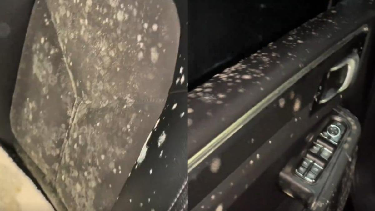 保時捷座位、車門無一倖免。(圖/翻攝自微博)