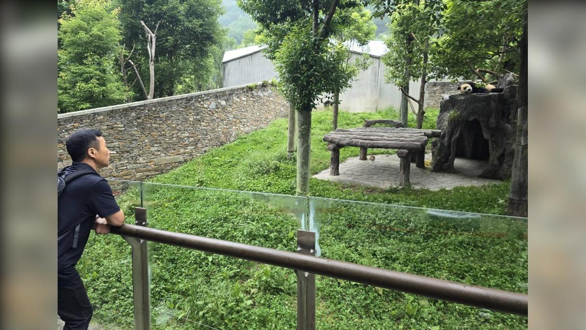 姜爺爺望著福寶。（圖／翻攝自 삼성물산 리조트부문）