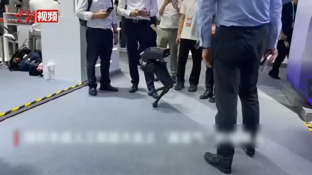 圖/翻攝自 微博 中新視頻