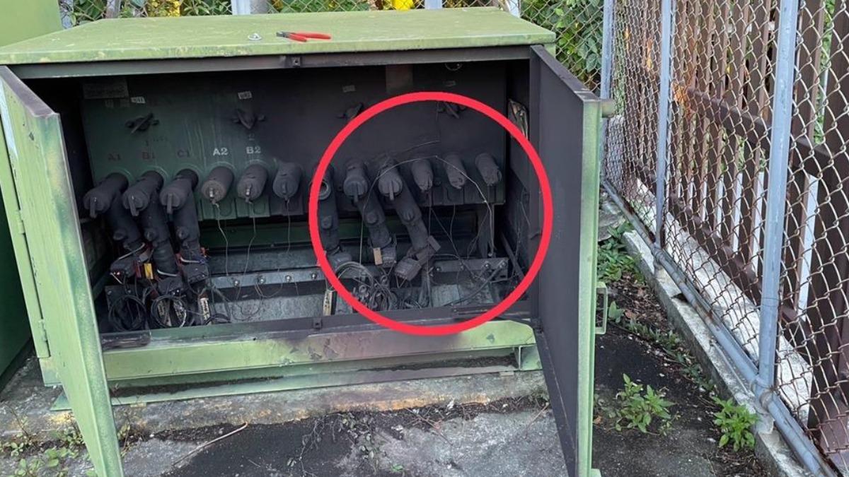 彰化8小時兩度停電!民眾喊看到松鼠 台電:強風吹的