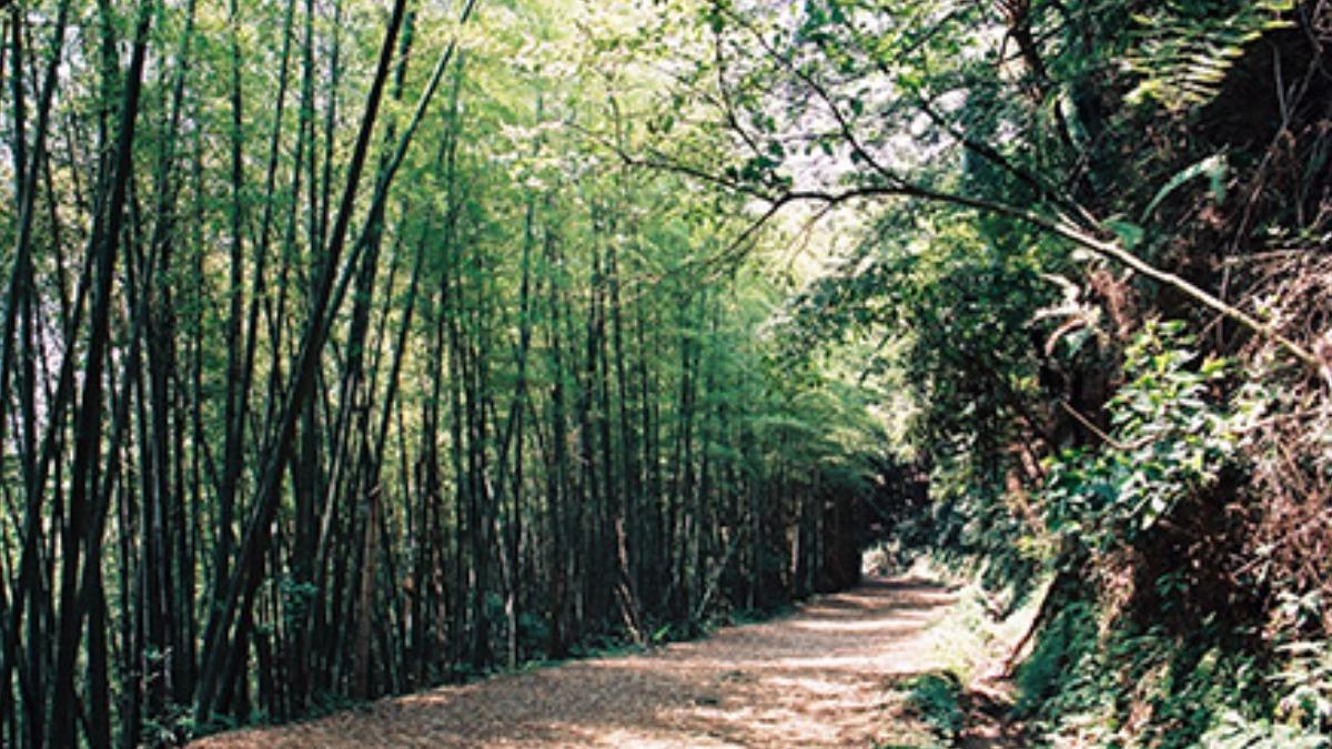 六福村周遭景點-六福村附近景點-六福村周邊景點-六福水樂園附近景點