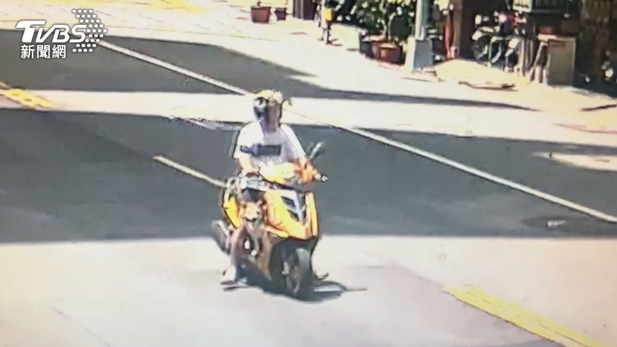 高雄一隻柴犬竟跳上女騎士的機車。（圖／TVBS）
