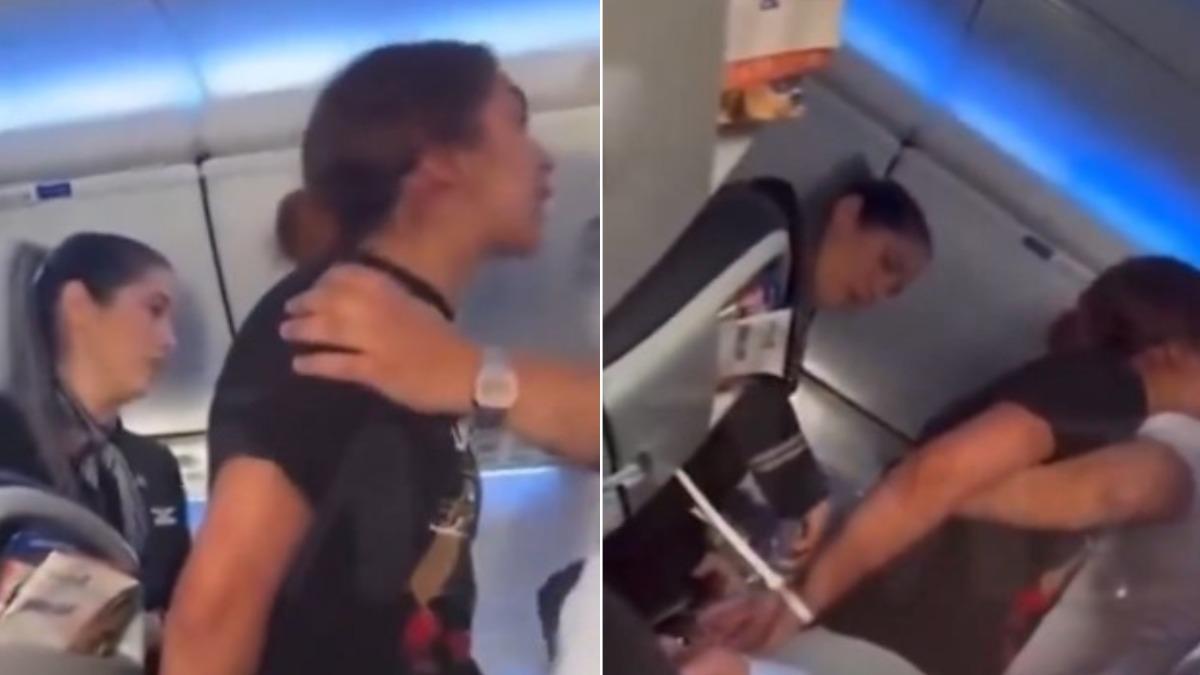 失控的女乘客即使被空服人員抱住，仍不斷對其他乘客尖叫，甚至痛罵髒話。（圖／翻攝自X@dom_lucre）