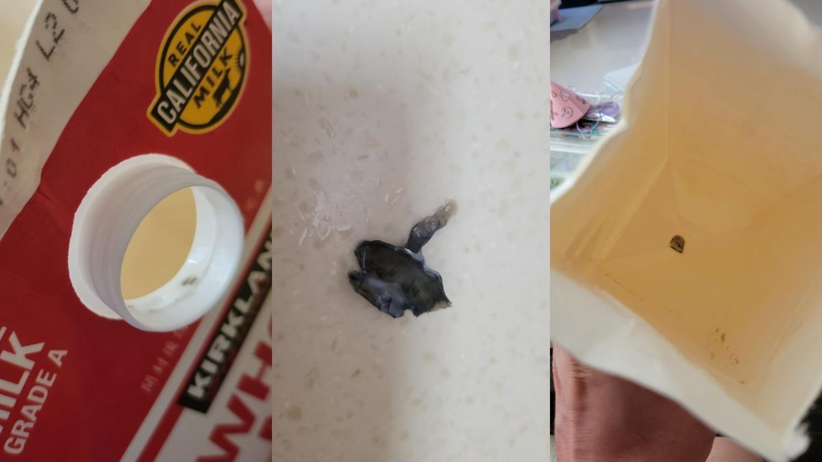好市多鮮奶疑出包!孩喝下狂瀉 盒底驚藏「黑色異物」