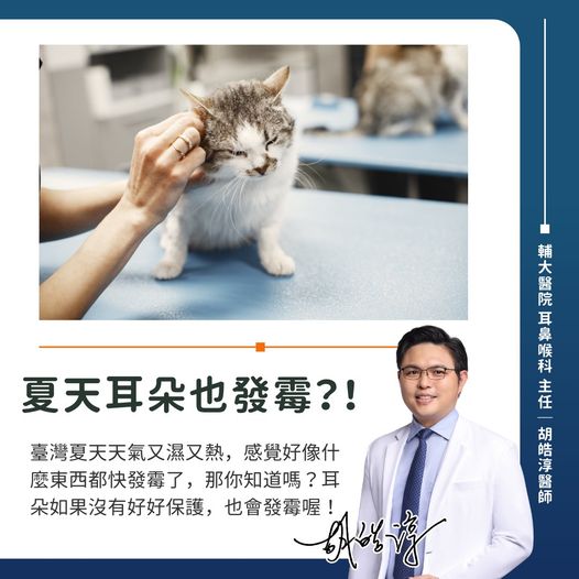 夏天天氣濕熱,耳朵也容易發霉。(圖/胡皓淳醫師授權提供)