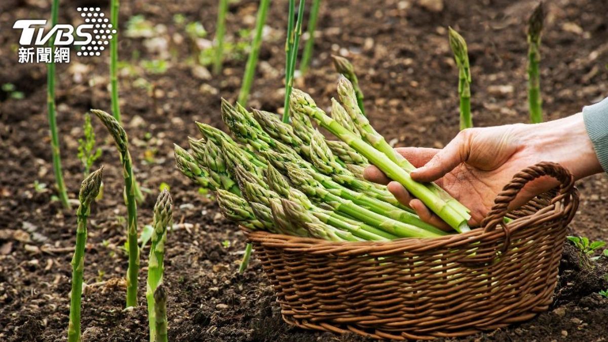 夏天口乾舌燥恐是五臟失調!醫推「蔬菜之王」助改善 清熱又解毒