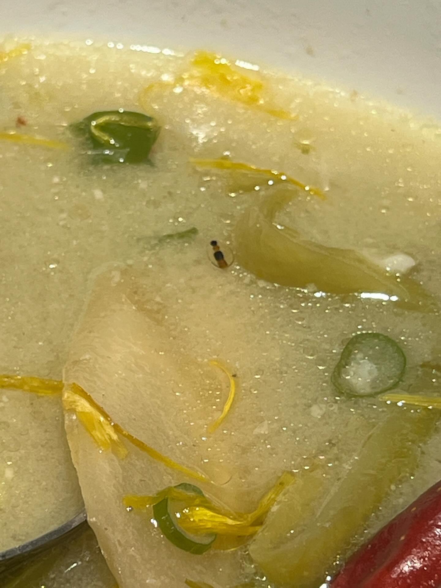民眾發現酸菜魚湯中有隱翅蟲。(圖/翻攝自threads)