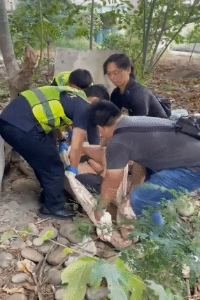 警方在筏子溪旁找到躺臥地上身體相當虛弱的劉翁,緊急送醫。(圖/TVBS)