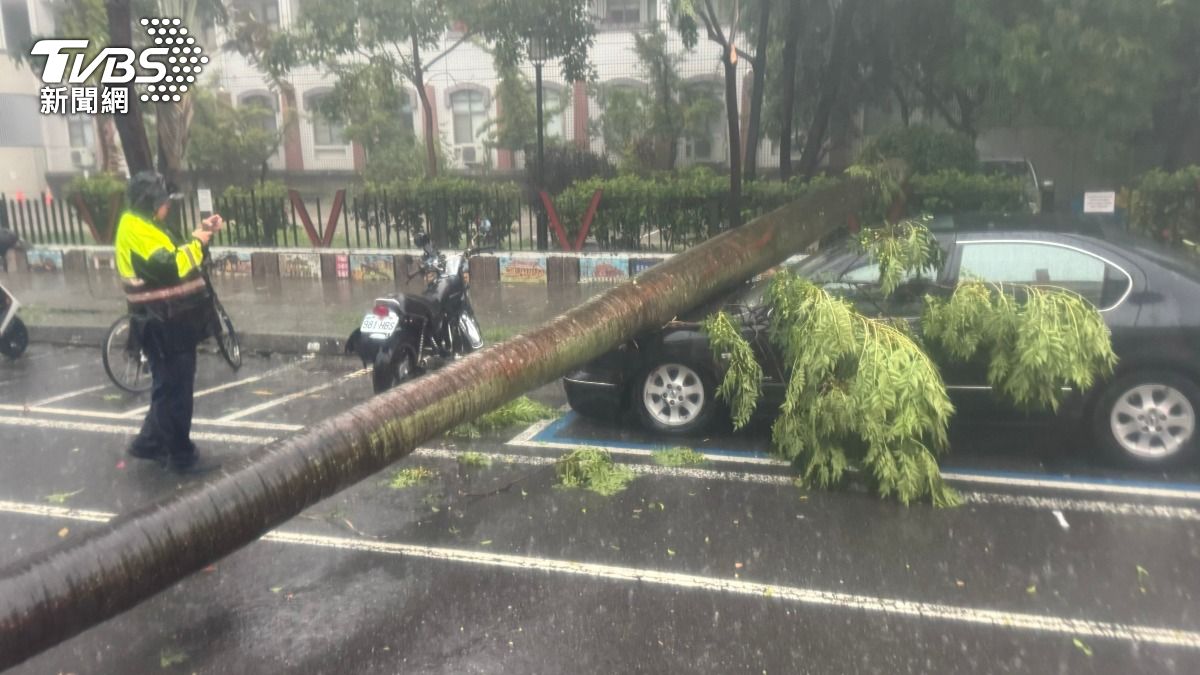 快訊/台南午後雷雨狂轟!椰子樹「橫倒砸車」 巨響嚇壞民眾