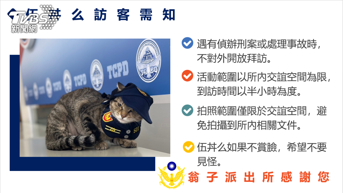 四大嚕貓守則。（圖／TVBS）