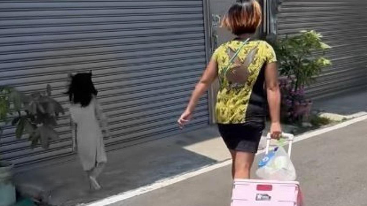 新竹女童被逼赤腳踩柏油路。(圖/翻攝自臉書社團「新竹大小事」)