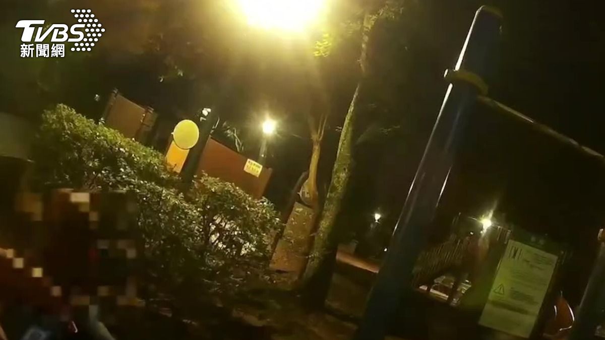 男子躺在分局旁公園被逮稱:我高興。(圖/TVBS)