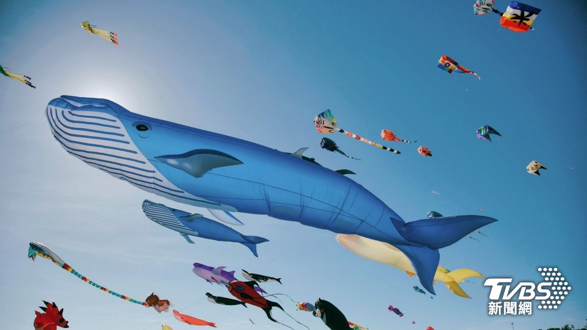 大鯨魚升空！高雄旗津風箏節登場　還有氣墊水樂園玩到嗨