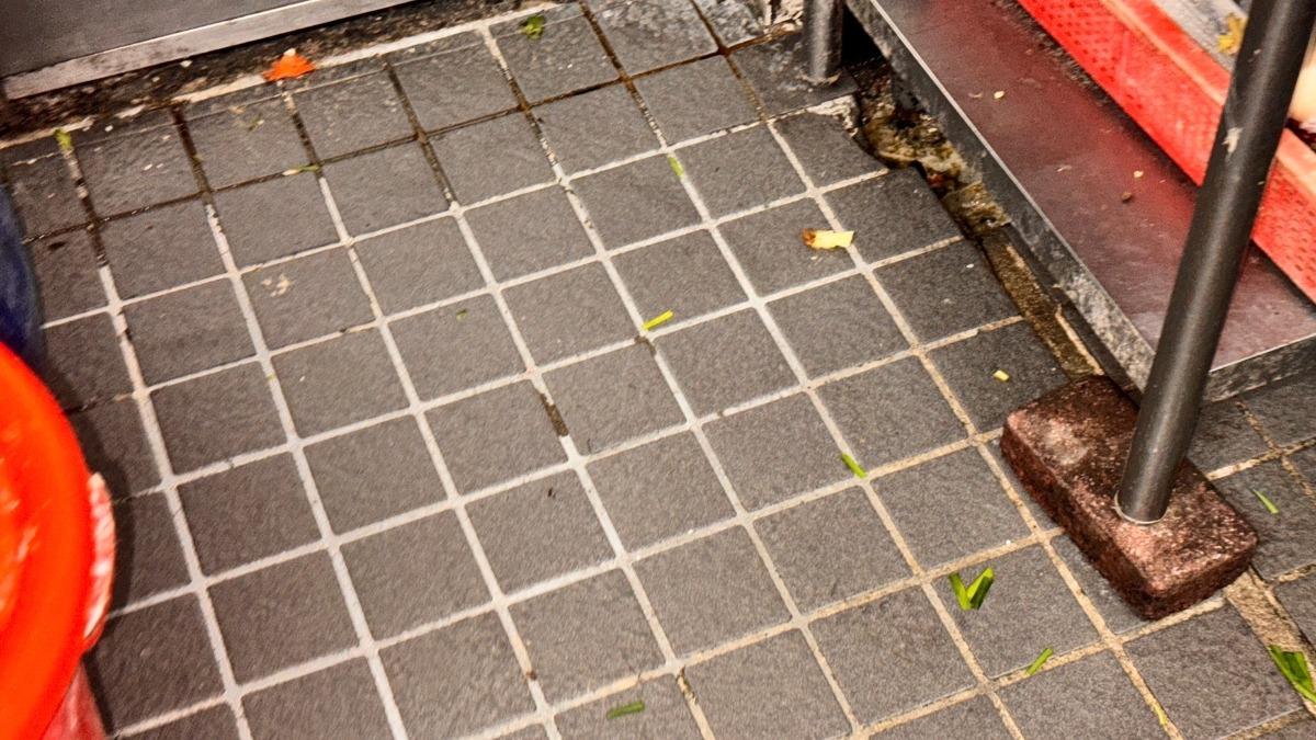 餐廳洗滌區及乾貨區地面不潔且有病媒出沒。(圖/衛生局)