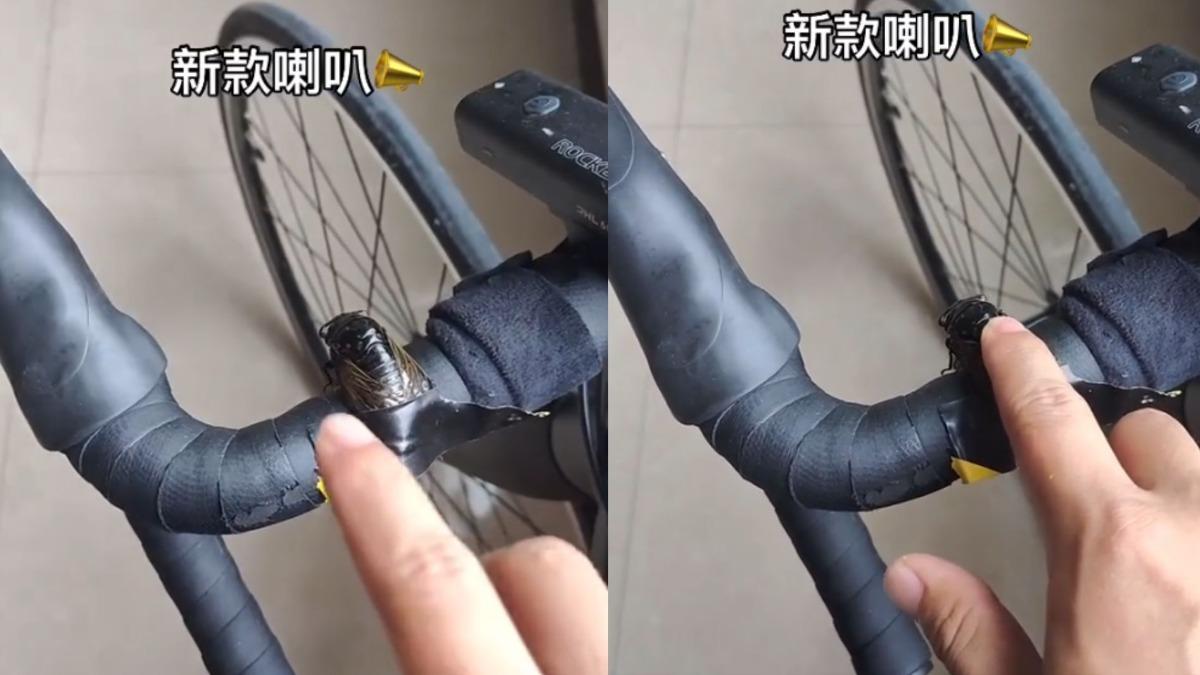 膠帶緊捆死命掙扎!腳踏車殘忍加裝「蟬聲喇叭」 全場怒批:根本虐待