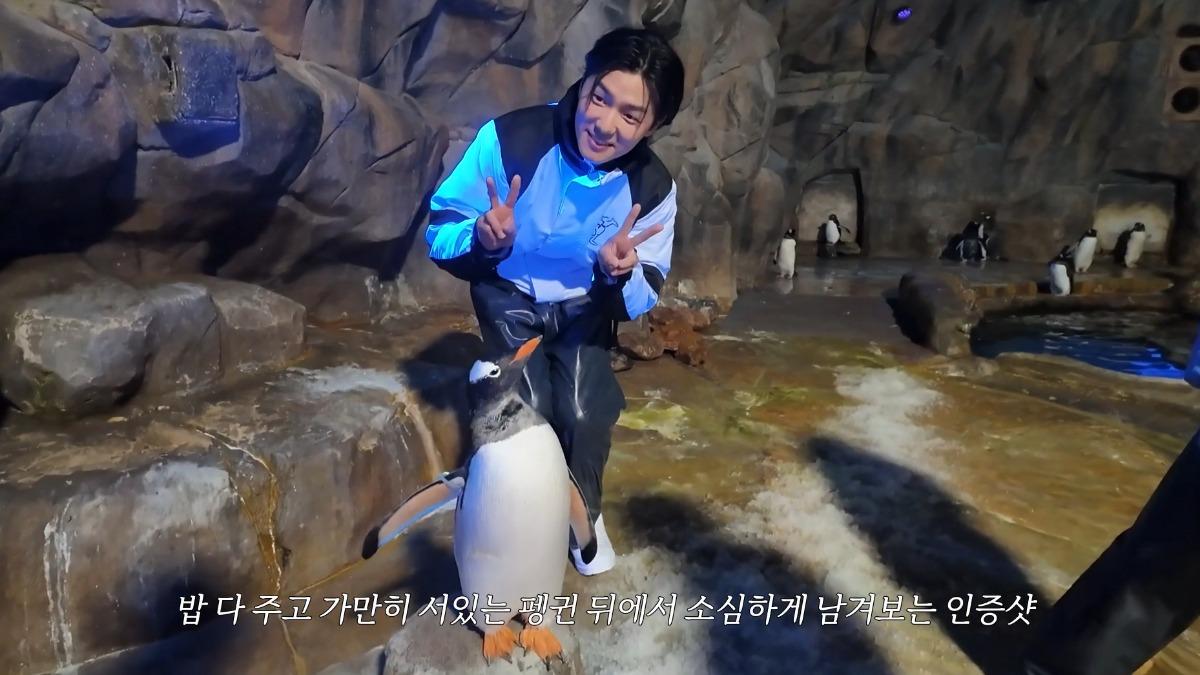 姜敏赫與企鵝合照。(圖/香港海洋公園提供)