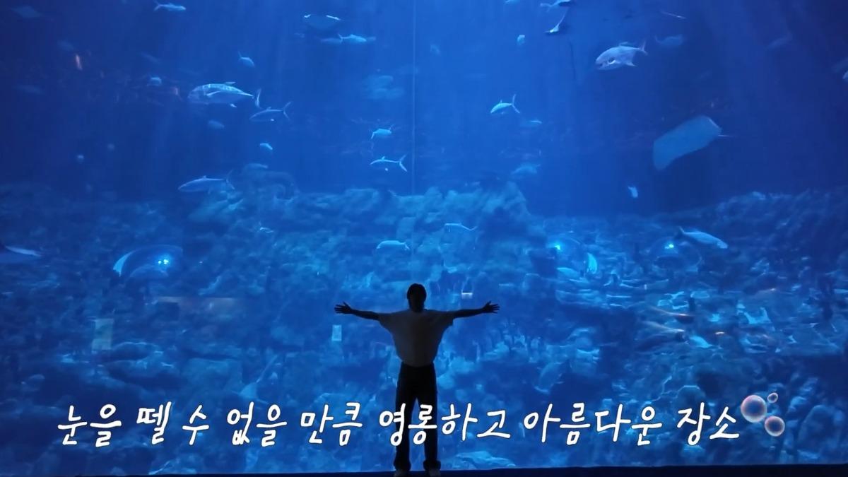 姜敏赫覺得水族館適合求婚。(圖/香港海洋公園提供)