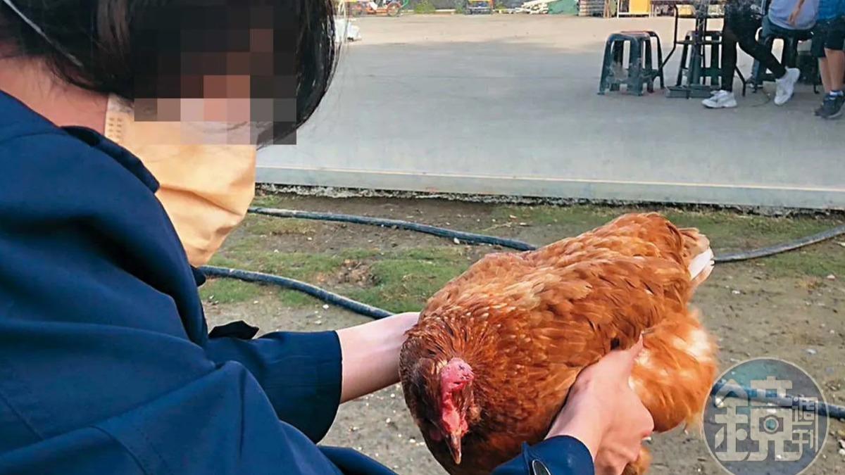 有問題的是學生還是制度?他頻繁被記警告 最終釀成憾事